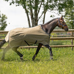 Dominick Fliegendecke + Halsteil