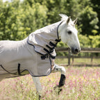 Dominick Fliegendecke + Halsteil