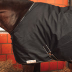 Dominick Stalldecke Medium 350 gr