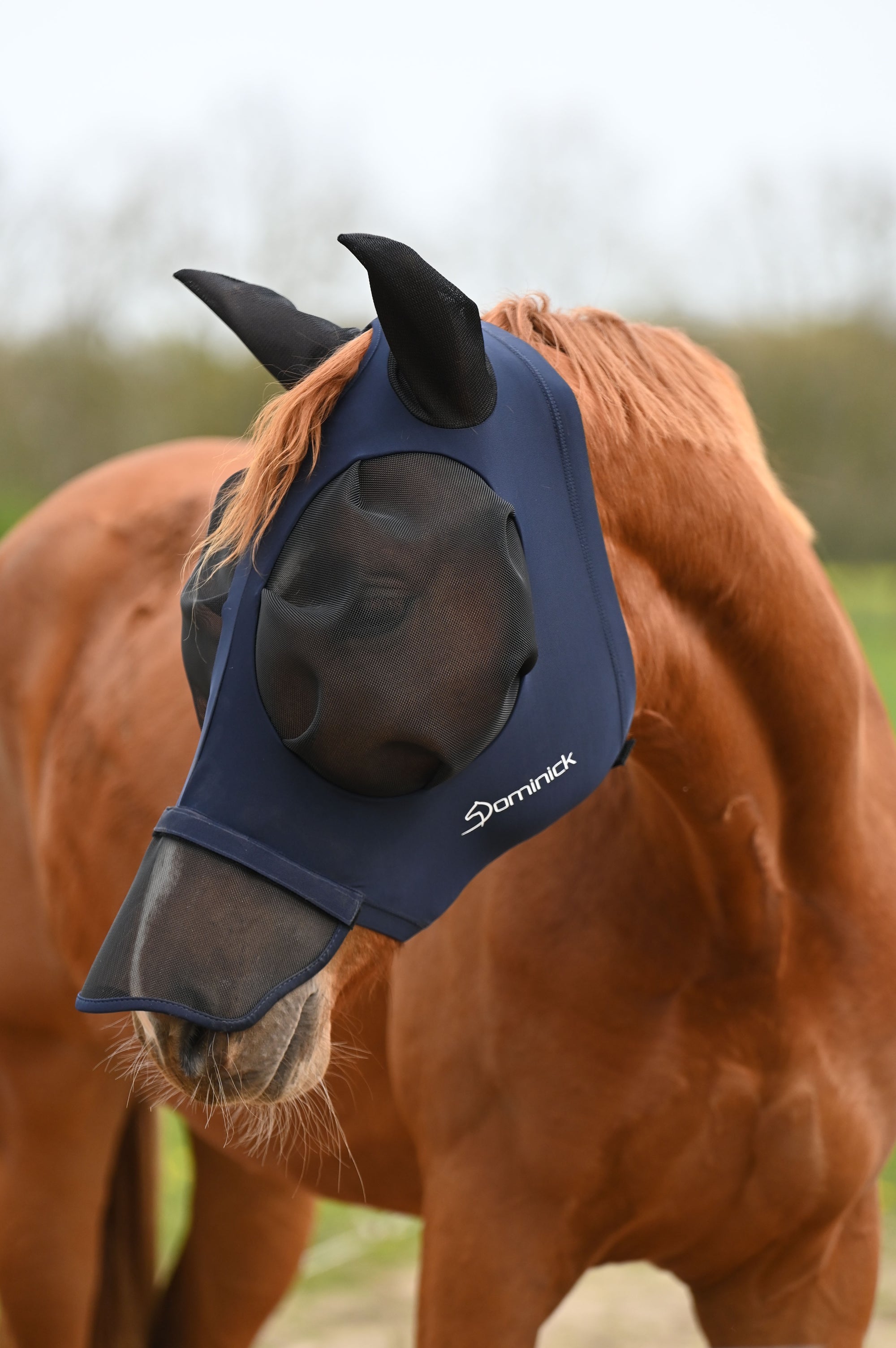 Dominick Vliegenmasker Comfort Fit + Neusflap