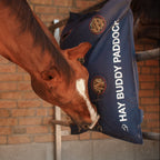 Dominick Hay Buddy Paddock