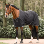 Dominick staldeken lite