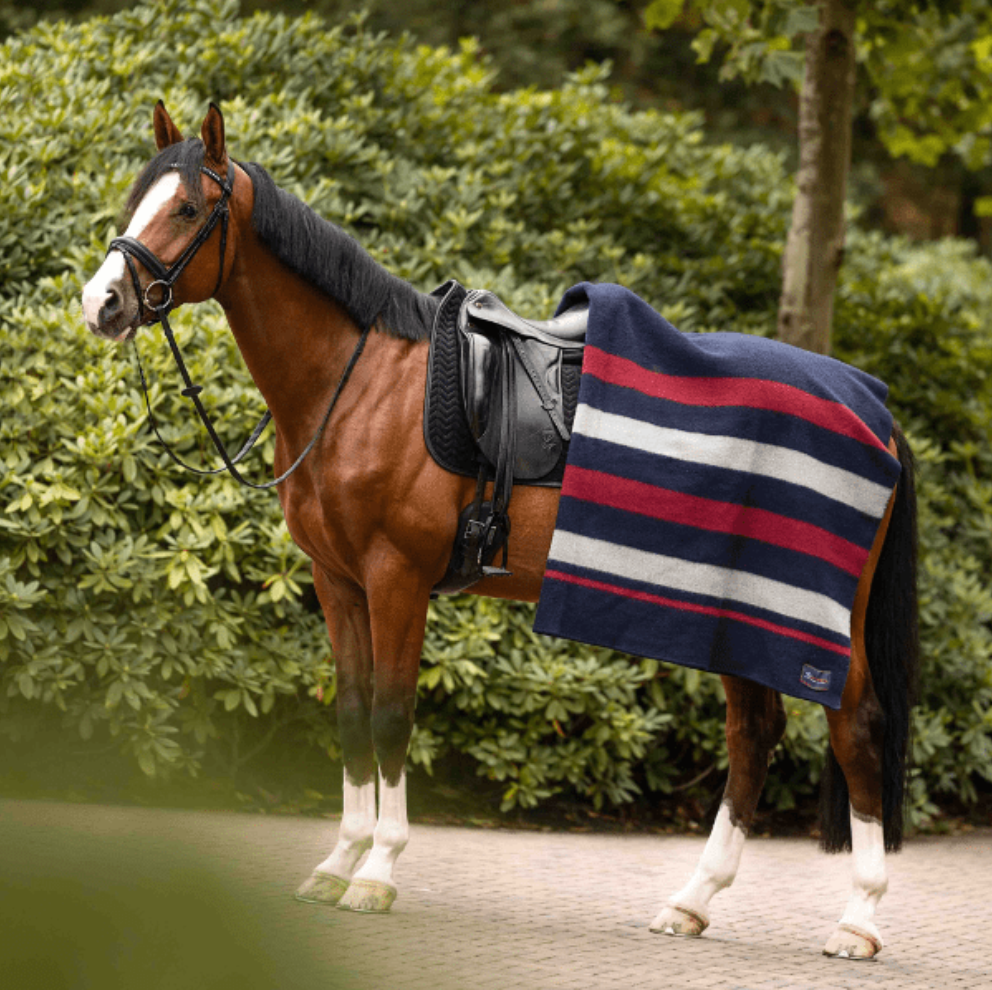 Dominick Golden Stripe Wollen deken