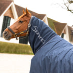 Dominick Halsteil Cosy