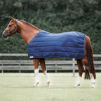 Dominick Liner 100GR